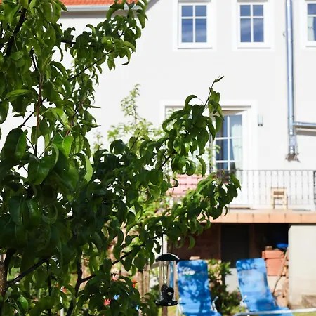 Дом отдыха Altes Winzerhaus Stegmann *