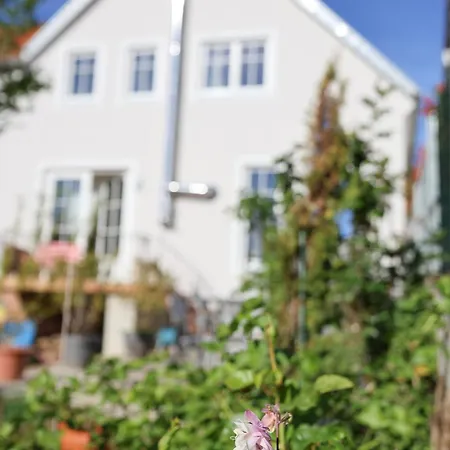 Altes Winzerhaus Stegmann Санкт-Мартин