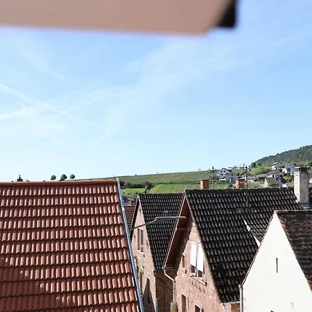 Altes Winzerhaus Stegmann * Санкт-Мартин