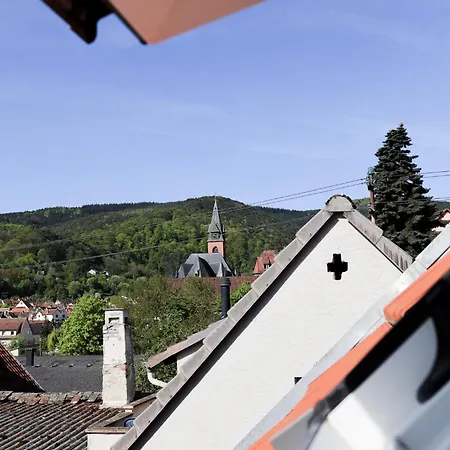 Altes Winzerhaus Stegmann Дом отдыха *