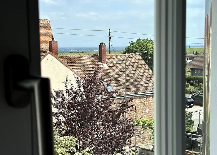 Ferienhaus Altes Winzerhaus Stegmann Sankt Martin