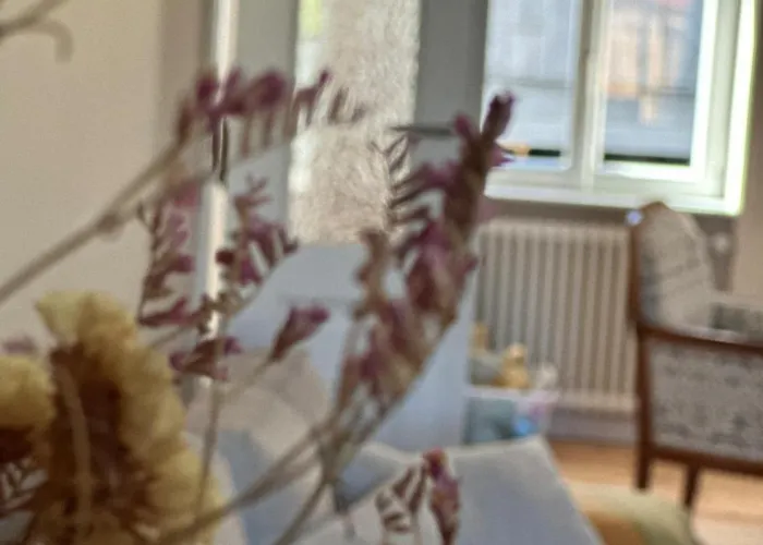 Ferienhaus Altes Winzerhaus Stegmann *